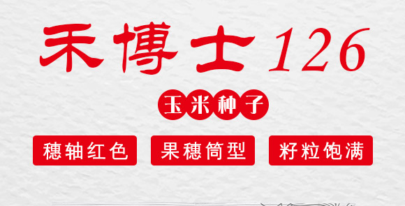 禾博士126-玉米種子-商都種業 禾博士126-玉米種子-商都種業