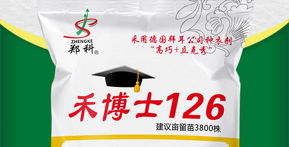 禾博士126-玉米種子-商都種業 禾博士126-玉米種子-商都種業