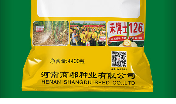 禾博士126-玉米種子-商都種業 禾博士126-玉米種子-商都種業