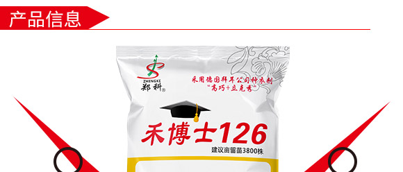 禾博士126-玉米種子-商都種業 禾博士126-玉米種子-商都種業