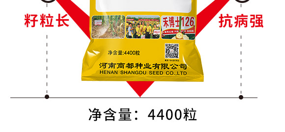 禾博士126-玉米種子-商都種業 禾博士126-玉米種子-商都種業