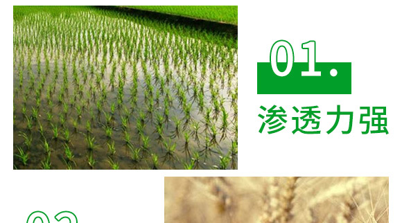芐嘧·苯噻酰-草拳-長雙農藥 芐嘧·苯噻酰-草拳-長雙農藥