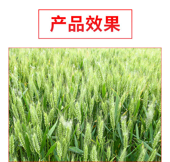 杈夊幙甯傝鮑鍖楃涓氭湁闄愬叕鍙?瑗垮啘100_04.jpg 杈夊幙甯傝鮑鍖楃涓氭湁闄愬叕鍙?瑗垮啘100_04.jpg