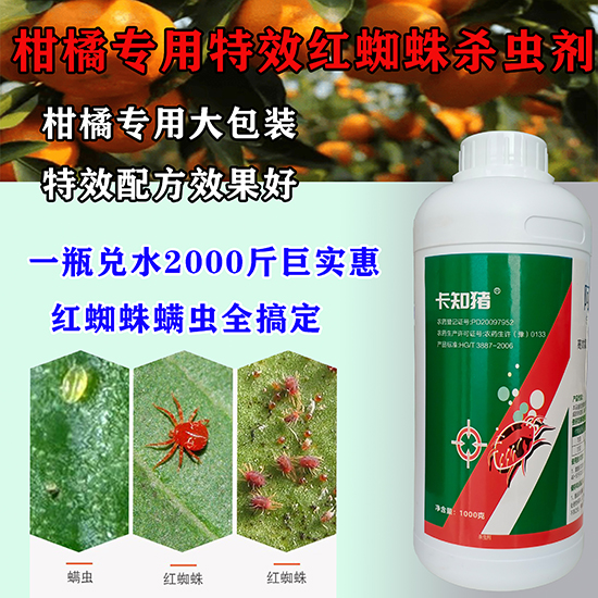 綰㈣湗铔?.jpg 綰㈣湗铔?.jpg