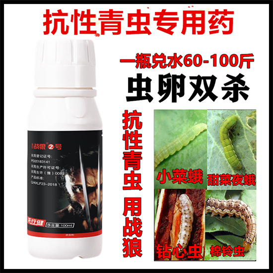 囄���_3.png