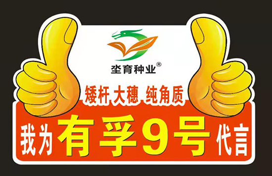 73ef27caf146aa5e98d7ac6f88d7598.jpg