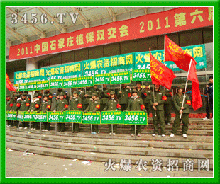 無處不在的火爆紅衛兵,印象深刻
