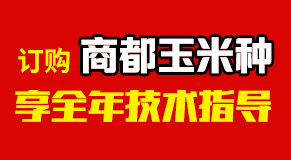 河南商都種業有限公司