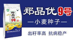 輝縣市豫北種業有限公司