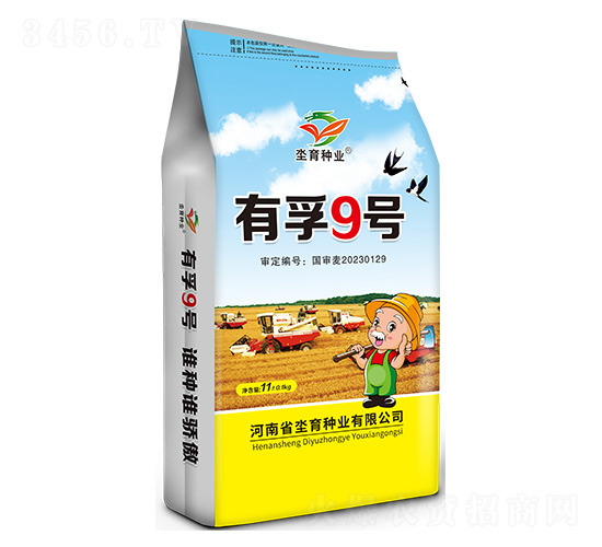 有孚9號-小麥種子-坔育種業