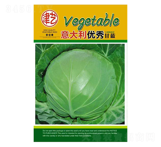 甘藍種子-邯豐農業