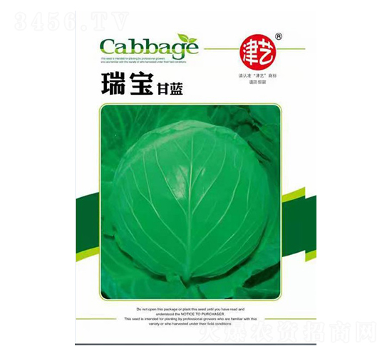 甘藍種子-瑞寶甘藍-邯豐農業