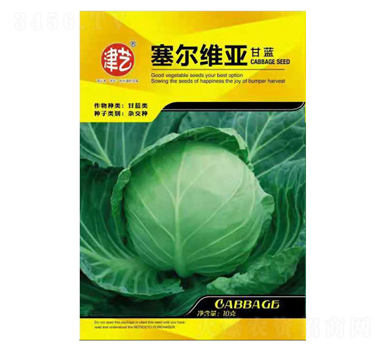 甘藍種子-賽爾維亞-邯豐農業