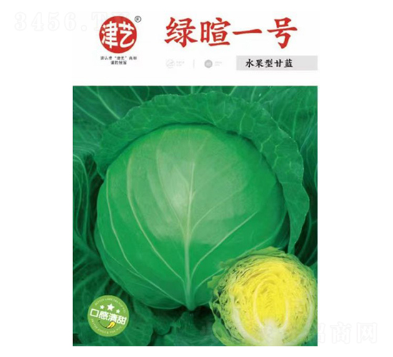 甘藍(lán)種子-綠暄一號-邯豐農(nóng)業(yè)