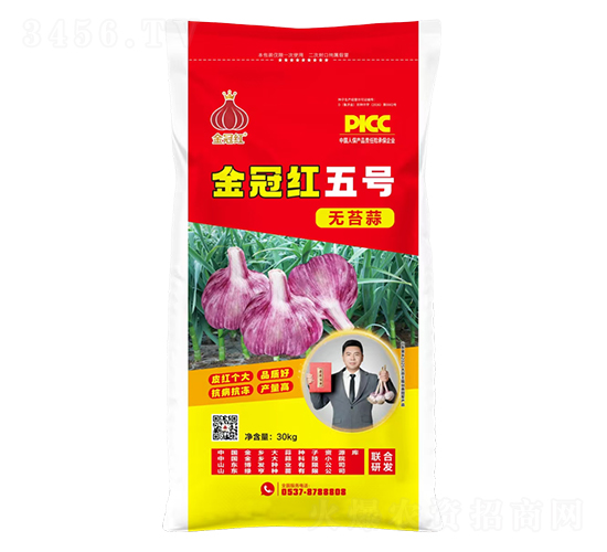 金冠紅五號無苔蒜-魯金豆