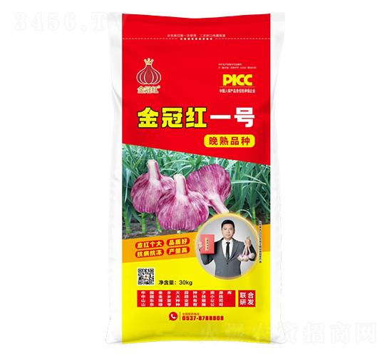 金冠紅一號晚熟品種-魯金豆