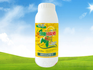���������ء�ƿ��-ֲ��-�S�r�r�� 