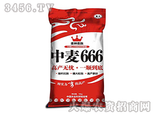 ����666-С���N��-����N�I 