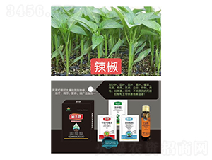 ���砀���M���ײͣ��������ã�-�Ϸ�·-�Z�M�� 