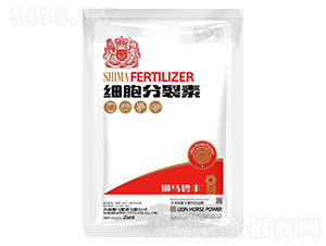 ����������25ml-�{�R�ʘI 