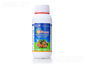 �|̦������-ʮ��ڱ������˶��f��-������ 