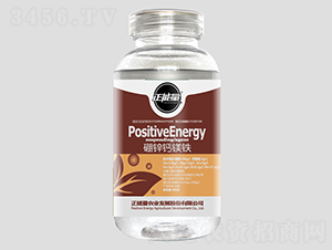 300g���\�}�V�F-������ 