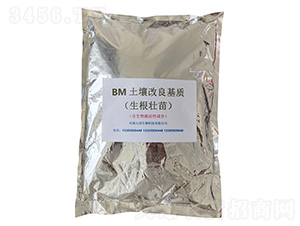 BM�����������|���������磩-�Ű�����