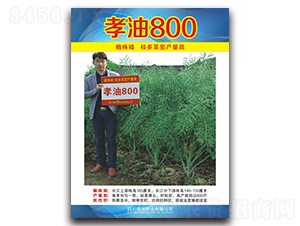 Т��800-�Ͳ˷N��-�����N�I