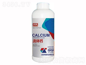 1300g���|�ЙC�}��-���w�}-Ӣ����-�sҫ�r�I 
