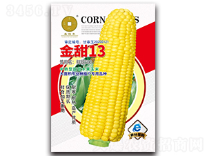 ����Ŵ708-���׷N��-�A��N�I 