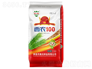 ���r100С���N��-ԥ���N�I
