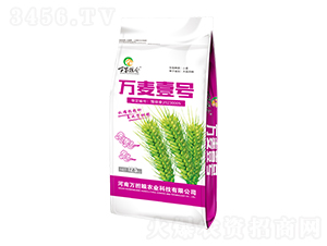 �f��Ҽ̖12.5kg-�f�ҼZ�}-�f���Z