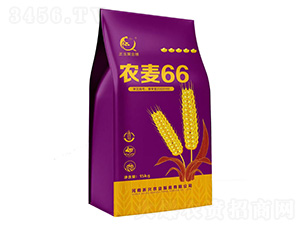 �r��66-С���N��-��֮Ʒ