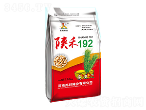 ꃺ�192С���N��-���N�I