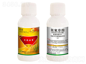 20%��������ɷ�ɢ�͑Ҹ���-ؐ�r�帻-ؐ˹���r��