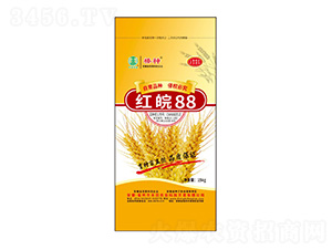 �t��88С���N��-�S���r�I