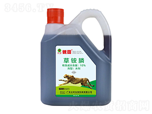 10%���@좣�ĸҺ��ˇ��-�J��-�V�|���r