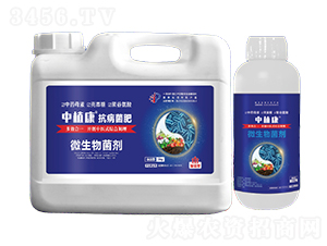 抗病菌肥-微生物菌劑-中植康
