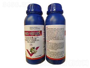 12.5%���S����x��΢�鄩-�I�x����