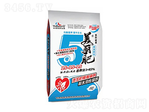 ������5̖��ጏͺϷ�15-15-15-�_���ڷ�-΢������
