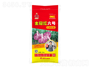 金冠紅六號紅根蒜苗-魯金豆