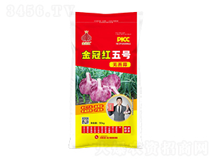 金冠紅五號無苔蒜-魯金豆