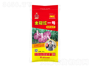 金冠紅一號晚熟品種-魯金豆