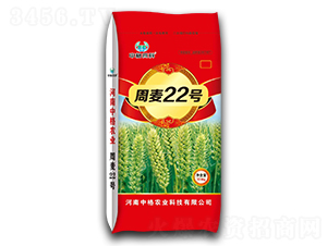 周麥22號(hào)-小麥種子-中格高科