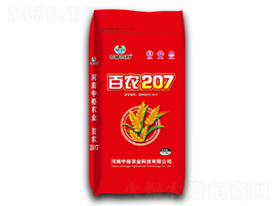 百農(nóng)207-小麥種子-中格高科