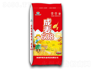 成麥608-小麥種子-中格高科